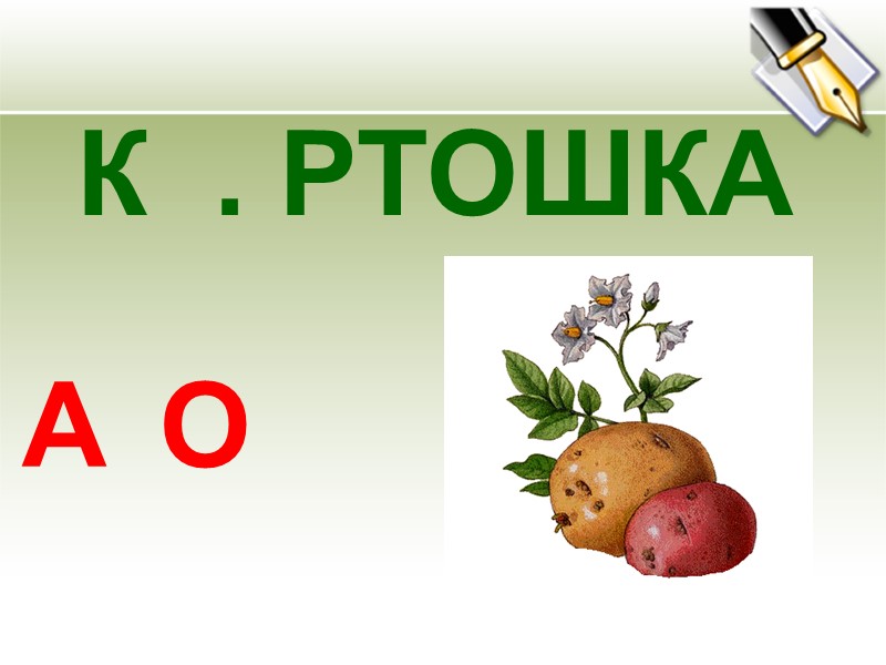 К  . РТОШКА А О